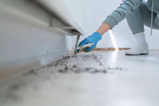 Best Pest Control Near Me in Jal, NM